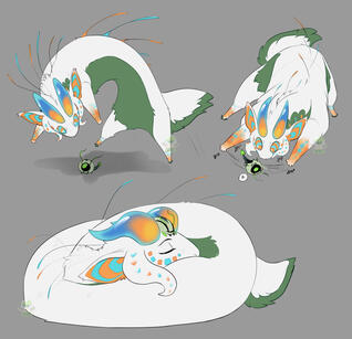 Colored Colored